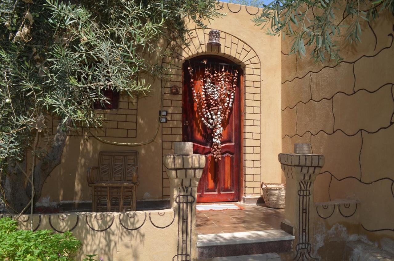 Mountain Camp Ali Khaled Hotel Siwa Oasis Eksteriør billede
