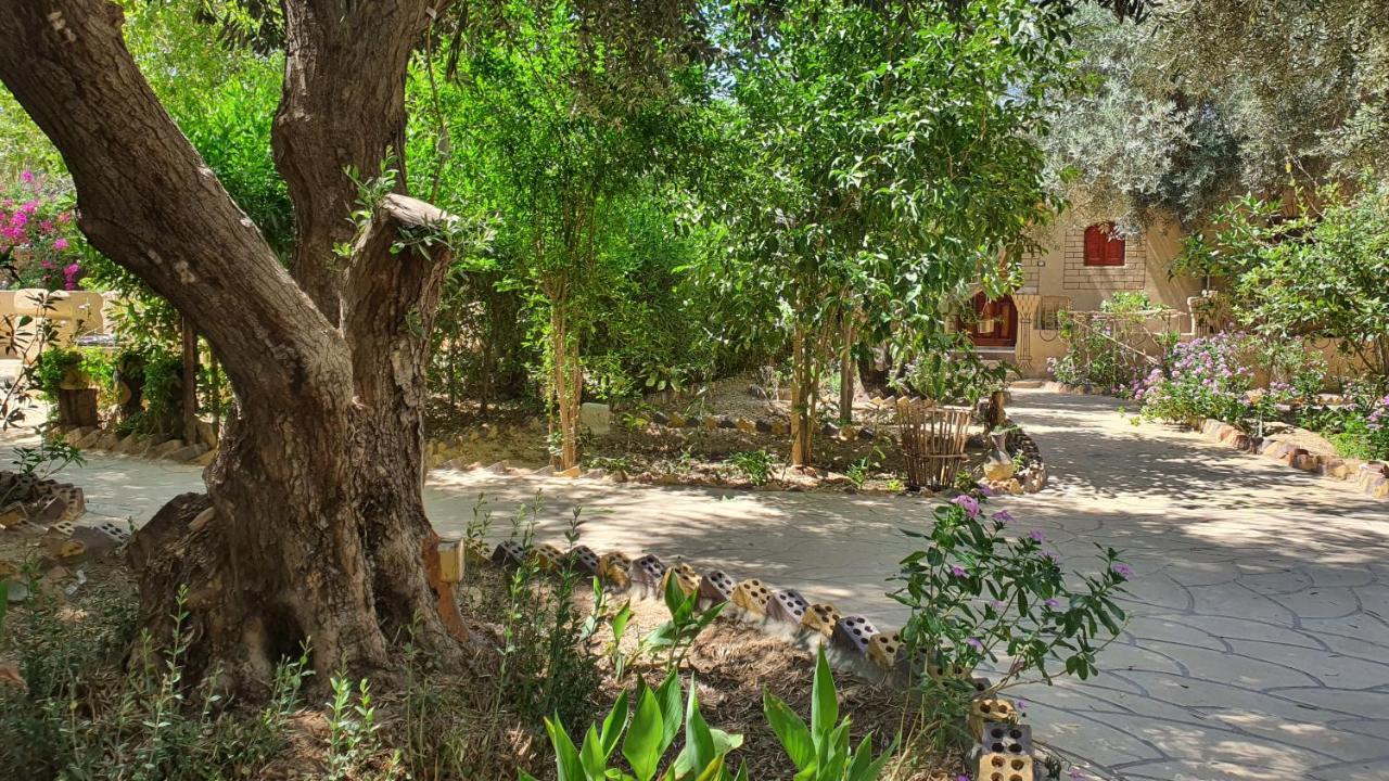 Mountain Camp Ali Khaled Hotel Siwa Oasis Eksteriør billede